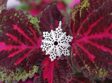Load image into Gallery viewer, Snowflake necklace
