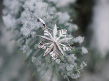 Load image into Gallery viewer, Star Snowflake necklace