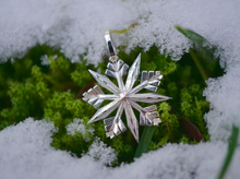 Load image into Gallery viewer, Star Snowflake necklace