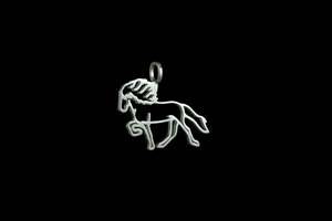 Icelandic Horse silver necklace
